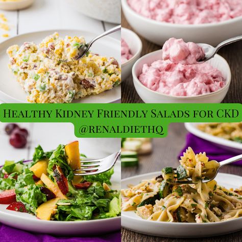 Kidney Friendly Recipes - Renal Diet HQ Low Potassium Recipes Meals Renal Diet, Low Protein Diet Kidney Recipes, Renal Diet Recipes Meals Dinners, Kidney Friendly Recipes, Renal Friendly Recipes, Renal Recipes, Ckd Recipes, Kidney Friendly Recipes Renal Diet, Kidney Diet Recipes