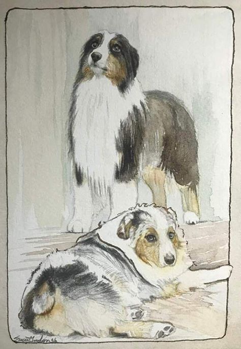 Borzoi Painting, Australian Shepherd Painting, Australian Shepherd Art, Painted Animals, Dog Coloring Book, Aussie Dogs, Canine Art, Australian Shepherds, Dog Painting