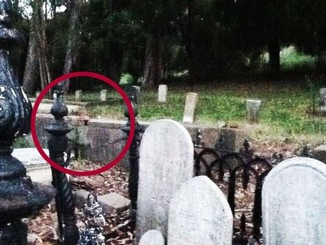 Scary Ghost Videos, Ghost Caught On Camera, Paranormal Pictures, Ghost Photo, Creepy People, Paranormal Photos, Real Ghost, Ghost Sightings, Spirit Ghost