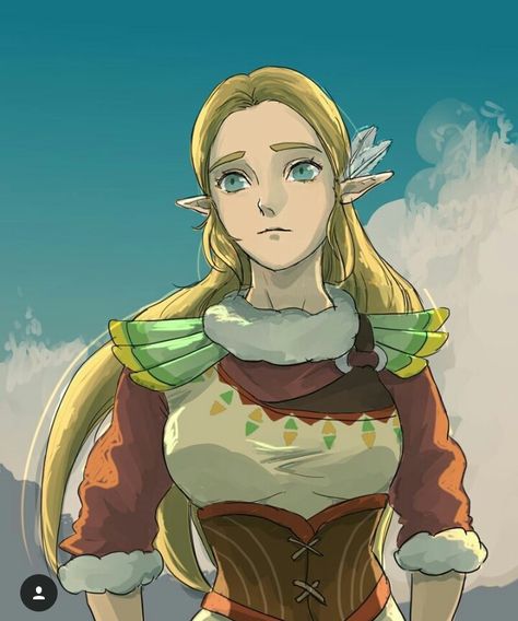 Zelda in Snowquill armor Botw Zelda, Evil Demons, Link Zelda, Red Lion, Zelda Art, Legend Of Zelda Breath, Zelda Breath, Twilight Princess, Cute Memes