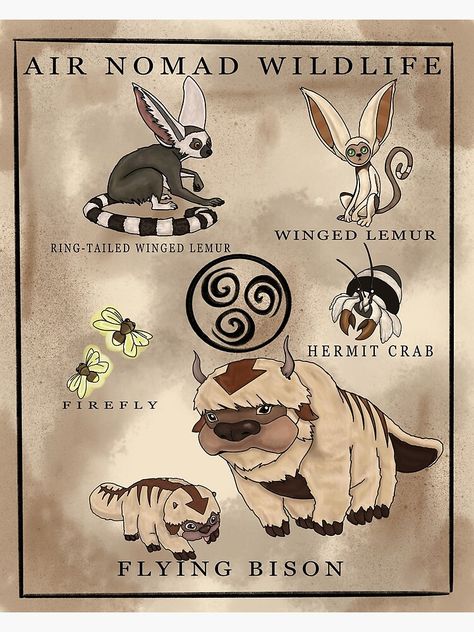 Avatar The Last Airbender Air Nomads, Air Nomads Avatar, Avatar Air Nomads, Aang Fanart, Air Temple, Air Nomads, Avatar Animals, Gaia Goddess, Cthulhu Art