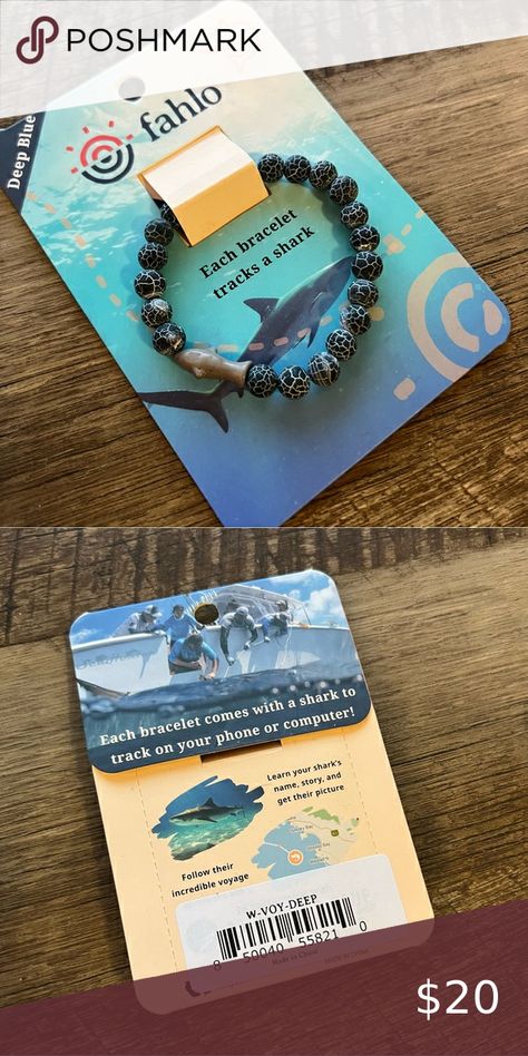 NWT Fahlo Shark Voyage Stretch Bracelet Fahlo Bracelet Shark, Shark Tracker Bracelet, Shark Tracking Bracelet, Fahlo Bracelet Aesthetic, My Fahlo Bracelet, Shark Things To Buy, Shark Merchandise, Fahlo Bracelets, Fahlo Bracelet