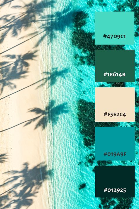 #colorpalette #palette #color #colorscheme #colorswatch #colourpalette #colorinspiration #inspiration #graphicdesign #branding #design #hexcode Caribbean Blue Color Palette, Island Colour Palette, Ocean Color Palettes, Blue Branding Color Palette, Jungle Color Palette, Tropical Color Palette, Ocean Color Palette, Colour Pallettes, Summer Color Palettes