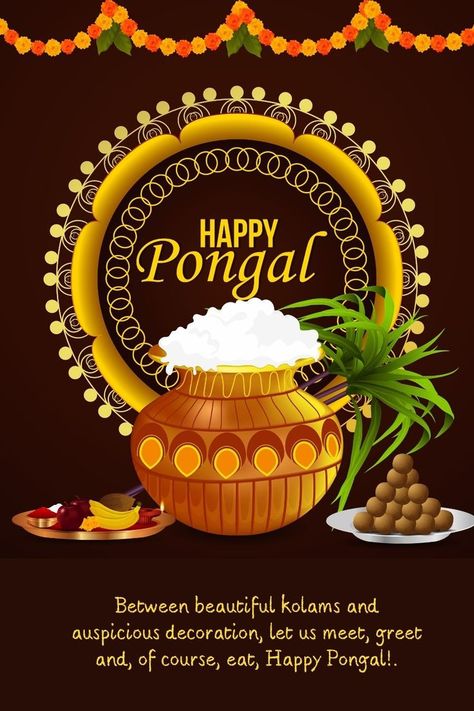 Happy Pongal! Happy Pongal In Tamil, Pongal Festival Images, Diwali Wishes With Name, Sankranthi Wishes, Tamil Greetings, Happy Pongal Wishes, Nice Dp For Whatsapp, Sankranthi Rangoli, Pongal Wishes