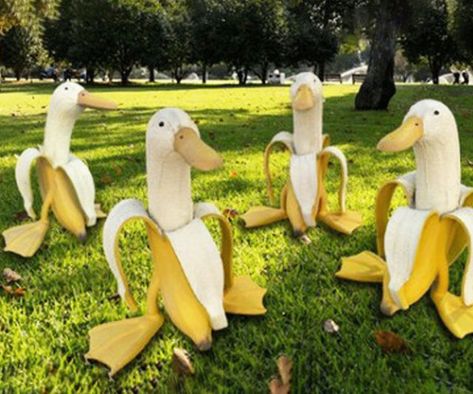 Banana Duck, Duck Garden, Peeled Banana, Creative Garden Decor, Duck Decor, Vintage Gardening, Duck Art, Kawaii Room Decor, Chicken Decor