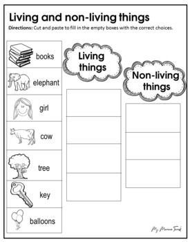 Living And Non Living Things Worksheets, Non Living Things, Letter A Coloring Pages, Living And Nonliving, Printable Flash Cards, Science Worksheets, Science Resources, Interactive Notebook, Living Things