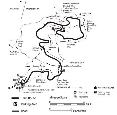 Snow Plant, Tree Life Cycle, Giant Sequoia Trees, System Map, Valley Of Fire State Park, Yosemite Park, Hiking Map, National Parks Map, Hiking National Parks