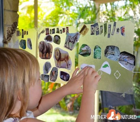 Animal Classification Activity, Evolution Activities, Classifying Animals, Teaching Mama, Animal Classification, Eyfs Activities, Bonding Activities, Kindergarten Science, Animal Activities