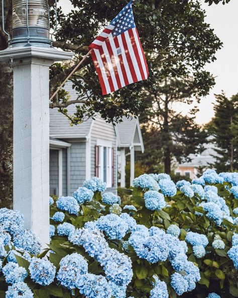 katie b. on Instagram: “major americana vibes. 🇺🇸 #capeology #capecodphotography #capecod #hydrangea #kbtravels” Cape Cod Hyannis, Cape Cod Summer House, Cape Cod Fourth Of July, Cape Cod 4th Of July, Orleans Cape Cod, Cape Cod Wallpaper, Old Cape Cod Aesthetic, Cape Cod Summer Aesthetic, Cape Cod Spring