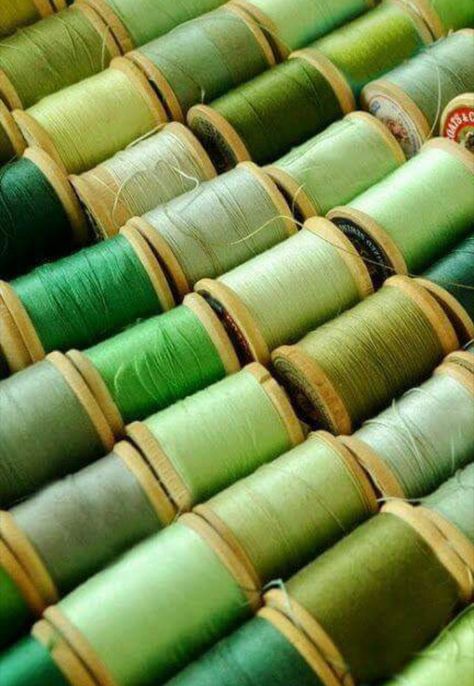 Hnin (Snow) loves greens Spools Of Thread, Green Thread, Rainbow Aesthetic, Simple Green, Aesthetic Colors, Colour Board, Green Wallpaper, Color Of The Year, Green Aesthetic