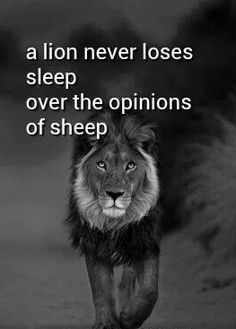 Proverbs,Sayings and crazy but true on Pinterest | Marriage, Devil ... Lion Quotes, Sleep Over, Remember Quotes, Life Quotes Love, A Lion, Quotable Quotes, Quotes About Strength, A Quote, Great Quotes