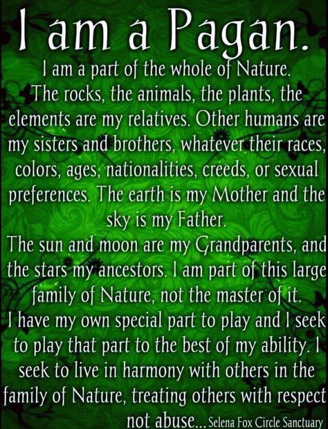 I am PAGAN Pagan Beliefs, Pagan Spirituality, Norse Pagan, Pagan Witch, Spiritual Path, My Stuff, Spell Book, Book Of Shadows, Mother Earth