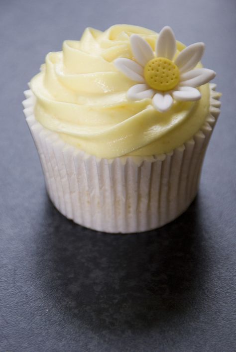 Lemon daisy cupcake | Megan Stickings | Flickr Pastel Yellow Cupcakes, Lemon Decorated Cupcakes, Yellow Decorated Cupcakes, Yellow Cupcakes Ideas, Daisy Themed Food, Daisy Cupcakes Easy, Lemon Cupcake Decorating Ideas, Daisy Cupcakes Ideas, Daisy Cupcake Cake