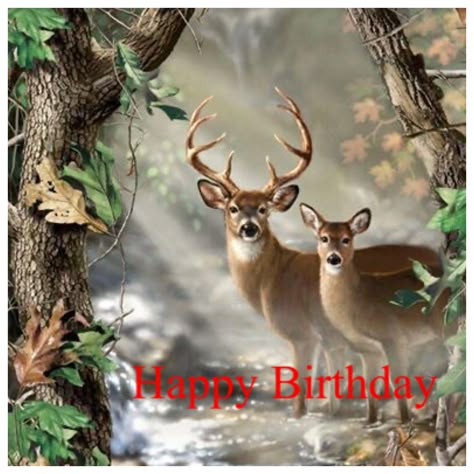 Happy Birthday Deer Hunter, Happy Birthday Nature Image, Happy Birthday Hunting, Happy Birthday Hunter, Happy Birthday Country, Birthday Male, Deer Quilt, Wildlife Quilts, Deer Artwork