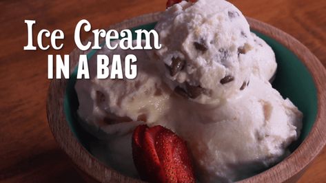 Easy Homemade Ice Cream in a Bag | Winners Drink Milk! Dairy Month Activities, June Dairy Month, Ice Cream In A Bag, Ice Cream Salt, Icecream In A Bag, Easy Homemade Ice Cream, Homemade Popsicles, Ice Cream Bowl, Vanilla Yogurt