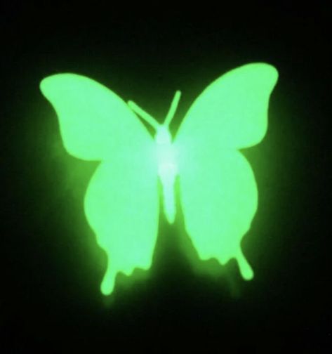 Y2k Background, Green Y2k, Dark Green Aesthetic, Butterfly Butterfly, Green Butterfly, Photo Apps, Ios Icon, Ethereal Art, Aesthetic Images