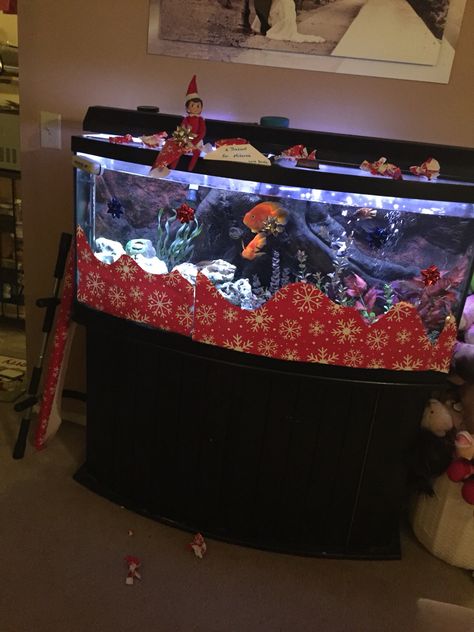 Christmas Fish Tank Decoration, Elf Fish Tank, Lord Of The Rings Themed Fish Tank, Elf On The Shelf Disney Cruise, Elf On The Shelf Hawaii, Fish Tank Ideas, Elf Ideas, On The Shelf, Fish Tank