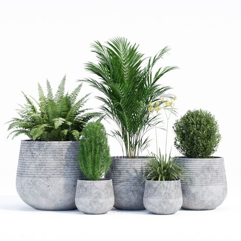 Concrete Landscaping, Hanging Plants Outdoor, Clay Planter, Eco Garden, Window Planters, Clay Planters, Pothos Plant, Concrete Pots, Plant Decor Indoor