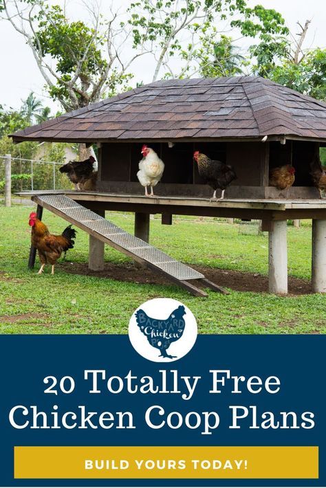 Mobile Chicken Coop Diy, Simple Chicken House, Chicken House Plans, Free Chicken Coop Plans, Free Chicken Coop, Chicken Coop Building Plans, Chicken Coop Plans Free, Cheap Chicken Coops, Chicken Coop Pallets