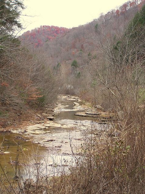 Appalachia Kentucky, Appalachian Core, Southern Appalachia Aesthetic, Appalachian Homestead, Appalachian Aesthetic, Appalachian Folklore, Appalachian Gothic Aesthetic, Appalachia Aesthetic, Appalachia Gothic