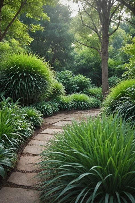 Explore a variety of ornamental grasses perfect for shady areas in your garden. From tall grasses to non-invasive options, find the best ornamental grasses that thrive and add beauty to shaded landscapes. Whether you're looking for ornamental grasses that grow well in both sun and shade or specifically seeking tall options, there are plenty of choices available. Enhance your garden with these shade-friendly plants and create a lush, green oasis even in low-light spaces. Shaded Front Yard Landscaping Ideas, Shaded Area Landscaping, Tall Grass Landscaping Front Yards, Front Yard Shade Ideas, Lush Garden Ideas, Ornamental Grass Landscape Design, Miscanthus Adagio, Grass For Shady Areas, Types Of Ornamental Grasses