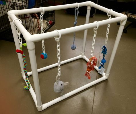 pvc puppy play gym with toys Puppy Play Gym, Puppy Playground, Perlengkapan Bayi Diy, Dog Grooming Diy, Outdoor Dog Toys, Puppy Room, Diy Gym, Diy Dog Toys, Dog Playground