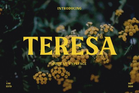 Teresa — Display Font on Behance Film Font, Title Font, Pretty Fonts, Popular Fonts, Graphic Design Fonts, Brand Fonts, Title Card, Retro Font, Typography Letters