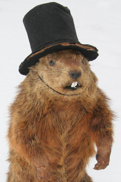 Many Groundhog Day festivities planned throughout county Ground Hog, Happy Groundhog Day, Future Predictions, Food Donation, Academia Fashion, Kid Food, Groundhog Day, Fun Kids Food, One Shot