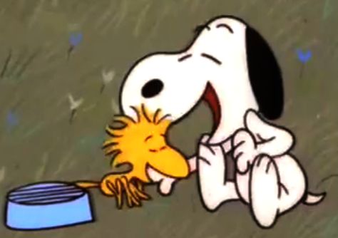 Snoopy Laugh Snoopy Come Home, Woodstock From Snoopy, Snoopy Laughing, Woodstock And Snoopy, Cute Long Hairstyles, Happy Snoopy, Snoopy Friends, Laugh Cartoon, Woodstock Snoopy