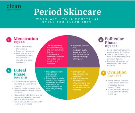 The phases that your skin goes through during your menstrual cycle! Period Skin Cycle, Skincare For Cycle, Period Health Menstrual Cycle, Skincare During Menstrual Cycle, Skin Menstrual Cycle, Skin And Menstrual Cycle, Skin Care Routine During Period, Skin During Menstrual Cycle, Skincare Routine Cycling