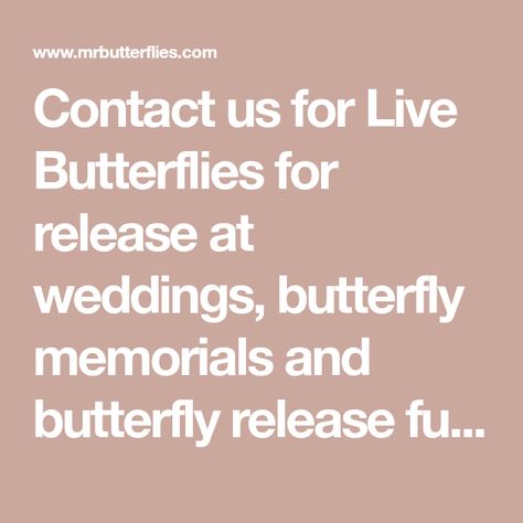 Bubble Release Memorial, How To Do Butterfly, Butterfly Release, Butterfly Place, Folded Paper Towels, Types Of Butterflies, Memorial Ideas, Themed Weddings, Monarch Butterflies