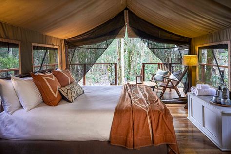 Glamping Interior, Eco Camp, Tent Interior, Jervis Bay, Tent Living, Glamping Tents, Glamping Tent, Glamping Resorts, Game Lodge