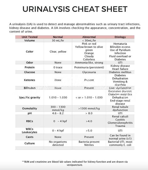 Bells Palsy, College Advice, Male Nurse, Nursing School Studying, Medical School Inspiration, Nursing Education, Nursing Notes, School Inspiration, Urinary Tract