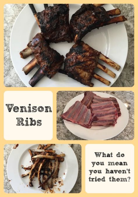 How To Process A Deer, How To Butcher A Deer, Venison Ribs Recipes, Deer Ribs Recipe, Bbq Venison, Venison Ribs, Deer Butchering, Ribs Recipe Oven, Moose Recipes