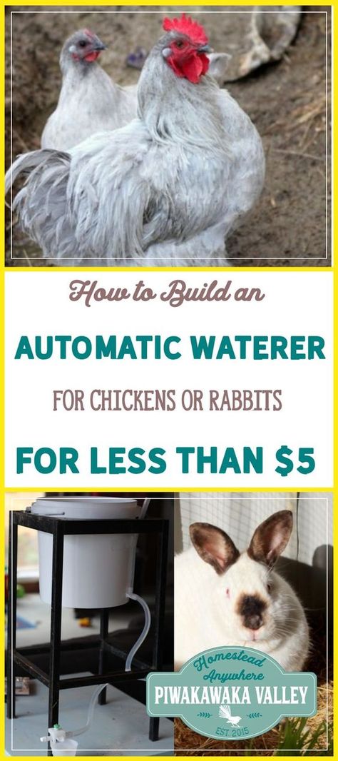 Automatic watering systems take the worry out of watering the animals. An auto waterer can last for several days and it keeps rabbits and chickens from making the water dirty or tipping it out. To make this automatic waterer I used a few things that I had laying around, but you could easily replace these with things you have or can make. Rabbit Husbandry, Waterer For Chickens, Rabbit Waterer, Meat Rabbits Breeds, Homestead Gardening, Automatic Waterer, Automatic Watering System, Meat Rabbits, Chicken Waterer