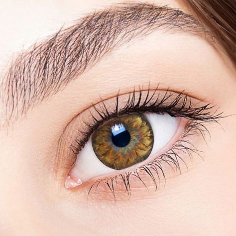 colored contacts for astigmatism - 【2 Toric Lenses / 12month】 Soony Brown Toric/1044 Eyelashes False, Pistachio Color, Eye Close Up, False Eyelash Extensions, Clear Eyes, Matte Eyeshadow, Day Makeup, Bright Eyes, Colored Contacts