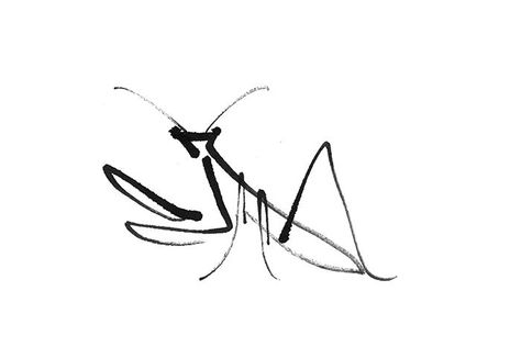 Tattoo Frau, Mantis Tattoo, 42 Tattoo, Mantis Religiosa, Couples Tattoos, Insect Tattoo, Bat Tattoo, Idee Cricut, Praying Mantis