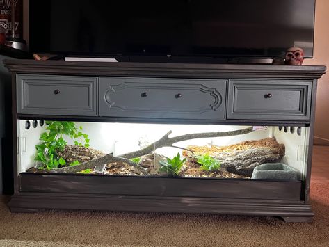 Custom built snake terrarium and TV stand from an old, refurbished dresser. Two weeks of hard work has finally paid off! Terrarium Tv Stand, Tortoise Enclosure Tv Stand, Reptile Cabinet Diy, Dresser Reptile Enclosure, Reptile Shelving, Diy Snake Enclosure Dresser, Dresser Terrarium, Sand Boa Enclosure, Lizard Enclosure