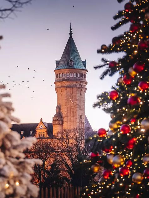 Winterlights Luxembourg Luxembourg City, European Destination, Heart Of Europe, Ancient Tree, Enjoy Nature, You Are The World, Travel Europe, Rare Plants, Christmas Market