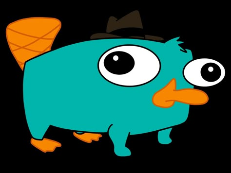 #phineasandferb #platypus #agentp #perrytheplatypus #perry #disneychannel Perry The Platypus Pfp, Cute Perry The Platypus, Perry The Platypus Wallpapers, Parry The Platypus, Perry The Platypus Tattoo, Perry The Platypus Drawing, Perry Platypus, Phineas E Ferb, Perry The Platypus