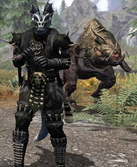 Eso Necromancer, Types Of Armor, Elder Scrolls Art, Elder Scrolls, Skyrim, Samurai Gear, Deadpool, Pins, Quick Saves