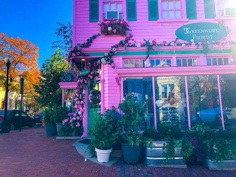 The Most Instagrammable Places in Washington DC | The Creative Adventurer Washington Dc Vacation, Dc Vacation, Paris Opera House, Visiting Washington Dc, Dc Trip, Washington Dc Travel, Most Instagrammable Places, Dc Travel, Old Town Square