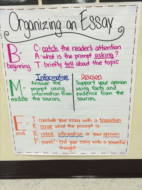 Organizing an essay anchor chart! FSA styled writing for 4th grade. Law School Personal Statement, Organize Ideas, 5th Grade Writing, Essay Structure, 3rd Grade Writing, Education Tips, Homeschool Writing, Essay Format, Writing Anchor Charts