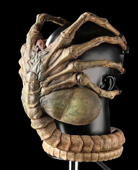 AVP-SpecialEffectsBreathingFacehugger2 Alien Collage, Facehugger Alien, Movie Creatures, Hr Giger Alien, Face Hugger, Giger Alien, Alien Xenomorph, Predator Alien Art, Giger Art