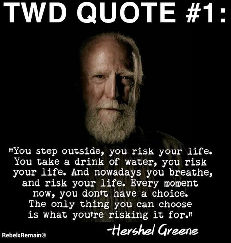 Walking Dead Everything on Instagram: “I absolutely love Hershel and I love this quote he says!😇 #twd #michonne #rickgrimes #carlgrimes #judithgrimes #negan #daryldixon…” Dead Inside Quotes, The Walking Dead Quotes, Walking Dead Tattoo, Twd Quotes, Walking Dead Quotes, The Walking Dead Memes, Walking Dead Zombies, Walking Dead Memes, Show Quotes