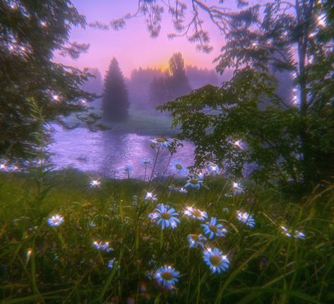 Faeriecore Aesthetic, Barbie Aesthetic, Dreamy Landscapes, Random Aesthetic, Nothing But Flowers, Fantasy Places, Fantasy Aesthetic, Ethereal Art, Aesthetic Images