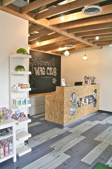 Dog Grooming Reception Desk, Pet Hotel Reception, Dog Grooming Store Fronts, Opening A Pet Store, Dog Daycare Front Desk, Dog Daycare Reception, Dog Parlour Ideas, Dog Retail Store, Grooming Salon Lobby