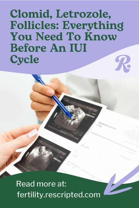 IUI Tips | Trying to Conceive | Trying to Get Pregnant | TTC | Fertility Support | PCOS | Male Fertility | Male Infertility | Endometriosis | TTC Over 40 | Infertility Quotes | Infertility Hope | Fertility Tips Letrozole Fertility, Ttc Quotes, Iui Success, Fertility Tips, Fertility Health, Fertility Diet, Male Fertility, Trying To Get Pregnant, Get Pregnant