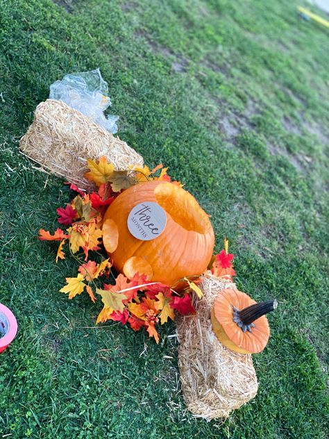 Baby In Pumpkin Ideas, 4 Month Fall Baby Pictures, October Baby Monthly Photo, Baby In A Pumpkin Photo Ideas, Pumpkin Baby Pictures, Pumpkin Baby Photoshoot, Fall Infant Photoshoot, Pumpkin Photo Shoot, Baby Pumpkin Pictures