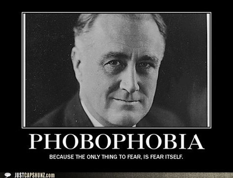 PHOBOPHOBIA - Because the only thing we have to fear is fear itself Franklin Roosevelt, Nothing To Fear, Funny Captions, Sassy Quotes, Funny Animal Memes, Psychology Facts, Funny Love, Memes Funny, Animal Memes